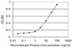 Detection limit for recombinant GST tagged FOS is 0. (c-FOS antibody  (AA 1-380))