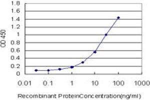 Detection limit for recombinant GST tagged TSC22D4 is approximately 0. (TSC22D4 antibody  (AA 1-395))