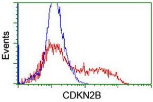HEK293T cells transfected with either RC204895 overexpress plasmid (Red) or empty vector control plasmid (Blue) were immunostained by anti-CDKN2B antibody (ABIN2455956), and then analyzed by flow cytometry. (CDKN2B antibody)