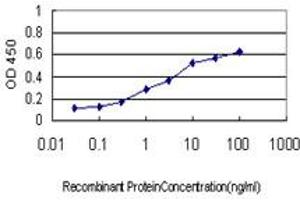 Detection limit for recombinant GST tagged NDUFB3 is approximately 0. (NDUFB3 antibody  (AA 13-65))