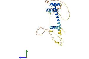 Protein Structure (PS) image for Paired Related Homeobox 1 (PRRX1) (AA 1-245) protein (His tag) (ABIN7556634)