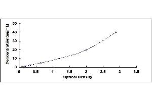 Typical standard curve (Hepcidin ELISA Kit)