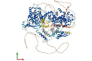 Protein Structure (PS) image for Drosha, Ribonuclease Type III (DROSHA) (AA 1-1373) protein (His tag) (ABIN7563821)