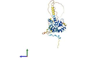 AlphaFold protein structure predicition of Human Recombinant CEP41 Protein, UniprotID Q9BYV8 (CEP41 Protein (AA 1-373) (His tag))