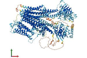 AlphaFold protein structure predicition of Human Recombinant ABCC8 Protein, UniprotID Q09428