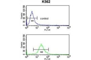 Flow Cytometry (FACS) image for anti-Solute Carrier Family 3 Member 1 (SLC3A1) antibody (ABIN3003916) (SLC3A1 antibody)