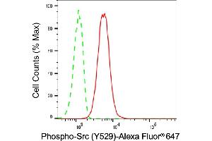 Flow cytometric analysis of Phospho-Src (Y529) expression in C2C12 cells using Phospho-Src (Y529) antibody (ABIN7800051), 1:2,000). (Recombinant Src antibody  (pTyr529))