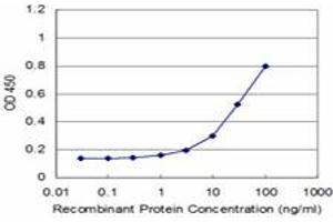 Detection limit for recombinant GST tagged RFXANK is approximately 3ng/ml as a capture antibody. (RFXANK antibody  (AA 1-90))