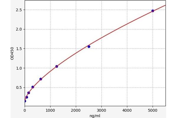 FH ELISA Kit