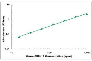 Representative Standard Curve (CXCL16 ELISA Kit)