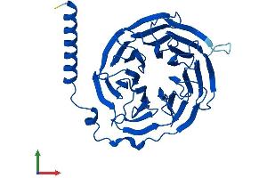 AlphaFold protein structure predicition of Mouse Recombinant Gnb3 Protein, UniprotID Q61011 (GNB3 Protein (AA 1-340) (His tag))