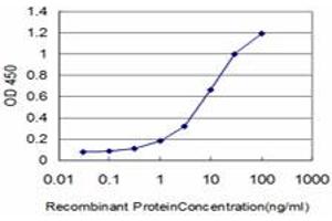 Detection limit for recombinant GST tagged KLF6 is approximately 0. (KLF6 antibody  (AA 1-100))