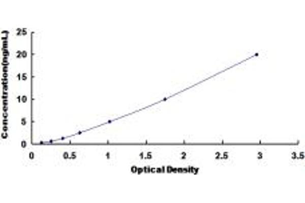 BIRC6 ELISA Kit