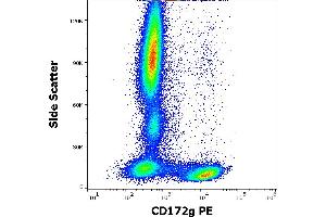 Flow cytometry surface staining pattern of human peripheral whole blood stained using anti-human CD172g (OX-119) PE antibody (10 μL reagent / 100 μL of peripheral whole blood). (SIRPG antibody  (PE))