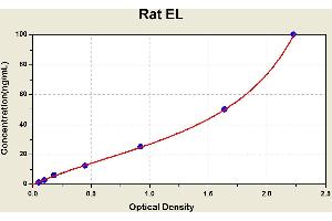 Diagramm of the ELISA kit to detect Rat ELwith the optical density on the x-axis and the concentration on the y-axis.