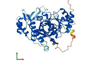 AlphaFold protein structure predicition of Mouse Recombinant Inpp1 Protein, UniprotID P49442 (INPP1 Protein (AA 1-396) (His tag))