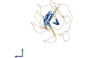 AlphaFold protein structure predicition of Human Recombinant ARHGEF33 Protein, UniprotID A8MVX0 (ARHGEF33 Protein (AA 1-844) (His tag))
