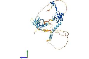AlphaFold protein structure predicition of Human Recombinant RING1 Protein, UniprotID Q06587 (RING1 Protein (AA 1-406) (His tag))