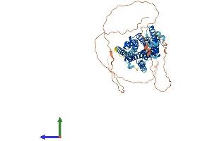 AlphaFold protein structure predicition of Mouse Recombinant Opn4 Protein, UniprotID Q9QXZ9