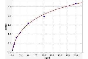 AQPEP ELISA Kit