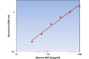 This is an example of what a typical standard curve will look like. (CXCL2 ELISA Kit)