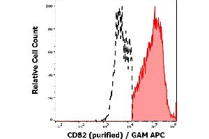 CD82 antibody