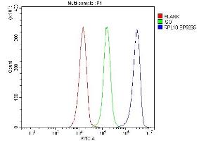 Flow Cytometry analysis of JK cells using anti-RPL10 antibody (ABIN7601177). (RPL10 antibody  (AA 3-214))