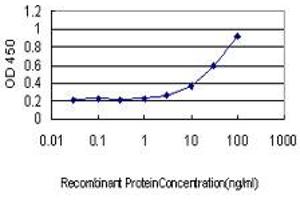 Detection limit for recombinant GST tagged GJB4 is approximately 3ng/ml as a capture antibody. (GJB4 antibody  (AA 1-266))