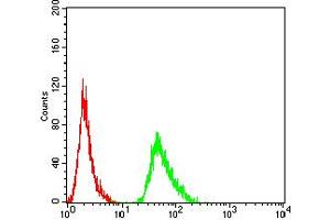 Flow cytometric analysis of MCF-7 cells using AMY1A mouse mAb (green) and negative control (red). (AMY1A antibody  (AA 172-284))