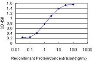 Detection limit for recombinant GST tagged USF1 is approximately 0. (USF1 antibody  (AA 1-110))