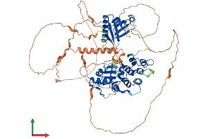 AlphaFold protein structure predicition of Human Recombinant AGAP7P Protein, UniprotID Q5VUJ5 (ArfGAP with GTPase Domain, Ankyrin Repeat and PH Domain 7 (AGAP7) (AA 1-663) protein (His tag))