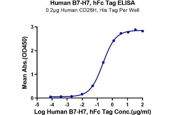 HHLA2 Protein (AA 23-344) (Fc Tag)