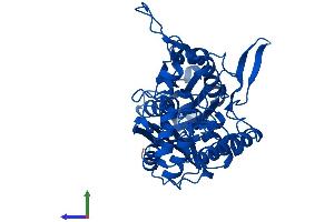 Protein Structure (PS) image for Acetyl-CoA Acetyltransferase 2 (ACAT2) (AA 1-397) protein (His tag) (ABIN7544314)