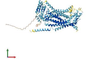 AlphaFold protein structure predicition of Mouse Recombinant Ano9 Protein, UniprotID P86044
