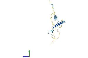 AlphaFold protein structure predicition of Human Recombinant PCP2 Protein, UniprotID Q8IVA1 (Pcp2 Protein (AA 1-136) (His tag))