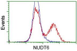 HEK293T cells transfected with either RC203470 overexpress plasmid (Red) or empty vector control plasmid (Blue) were immunostained by anti-NUDT6 antibody (ABIN2454163), and then analyzed by flow cytometry. (NUDT6 antibody)