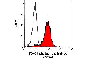 Flow Cytometry (FACS) image for anti-Forkhead Box Q1 (FOXQ1) (AA 353-403) antibody (ABIN7455177)