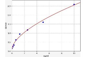 CDK6 ELISA Kit