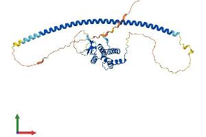 AlphaFold protein structure predicition of Human Recombinant RAB3IL1 Protein, UniprotID Q8TBN0 (RAB3IL1 Protein (AA 1-382) (His tag))