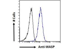 ABIN185368 Flow cytometric analysis of paraformaldehyde fixed HepG2 cells (blue line), permeabilized with 0. (WASP antibody  (Internal Region))