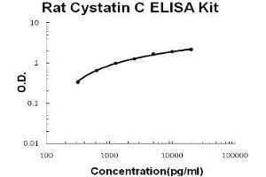 Rat Cystatin C PicoKine ELISA Kit standard curve (CST3 ELISA Kit)