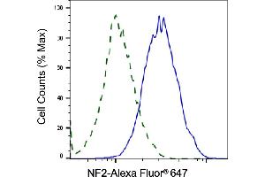 Validation of NF2 knockdown using flow cytometry.