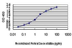 Detection limit for recombinant GST tagged AATK is approximately 0. (AATK antibody  (AA 161-260))
