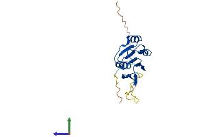 Protein Structure (PS) image for NADH Dehydrogenase (Ubiquinone) Complex I, Assembly Factor 3 (NDUFAF3) (AA 1-185) protein (His tag) (ABIN7561640)