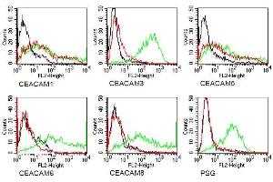 Specificity testing of 4/3/17. (CEACAM1/5 antibody)