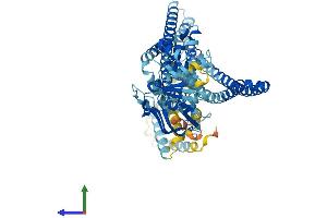 Protein Structure (PS) image for Transporter 2, ATP-Binding Cassette, Sub-Family B (MDR/TAP) (TAP2) (AA 1-686) protein (His tag) (ABIN7555733)