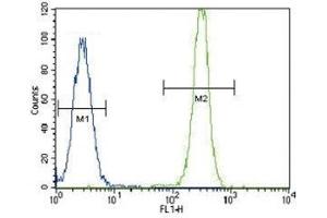 SMAD2 antibody flow cytometric analysis of HeLa cells (right histogram) compared to a negative control (left histogram). (SMAD2 antibody  (AA 97-125))
