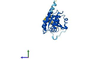 AlphaFold protein structure predicition of Mouse Recombinant Arl15 Protein, UniprotID Q8BGR6