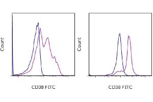 Flow Cytometry (FACS) image for anti-CD38 antibody (APC) (ABIN2144236) (CD38 antibody  (APC))