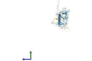 Protein Structure (PS) image for Sarcoglycan, beta (43kDa Dystrophin-Associated Glycoprotein) (SGCB) (AA 1-318) protein (His tag) (ABIN7546014)